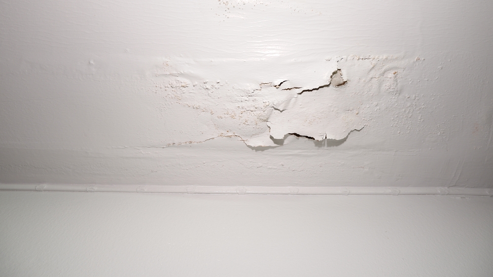 Cracked house ceiling ,Water leakege inside the house, plumbing leaks.